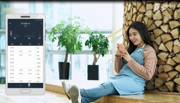 다옴솔루션 이미지