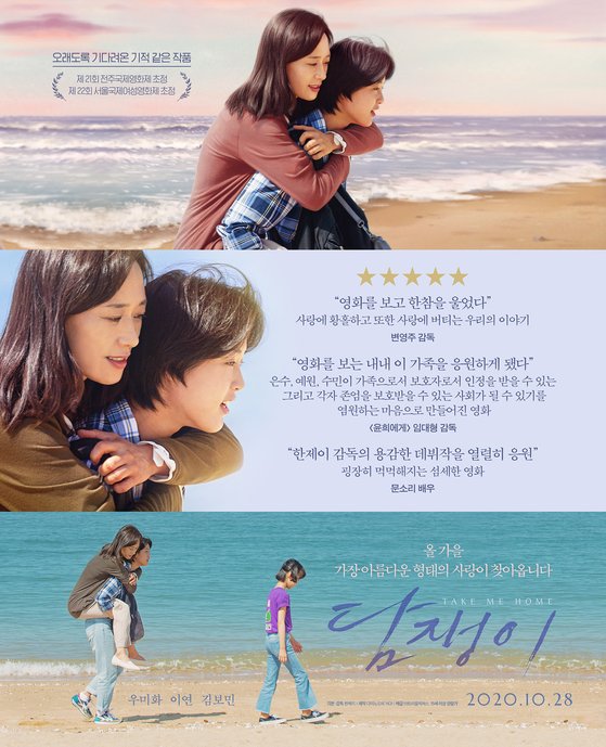 담쟁이 이미지