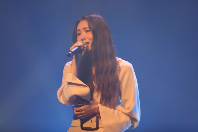 케이시 이미지