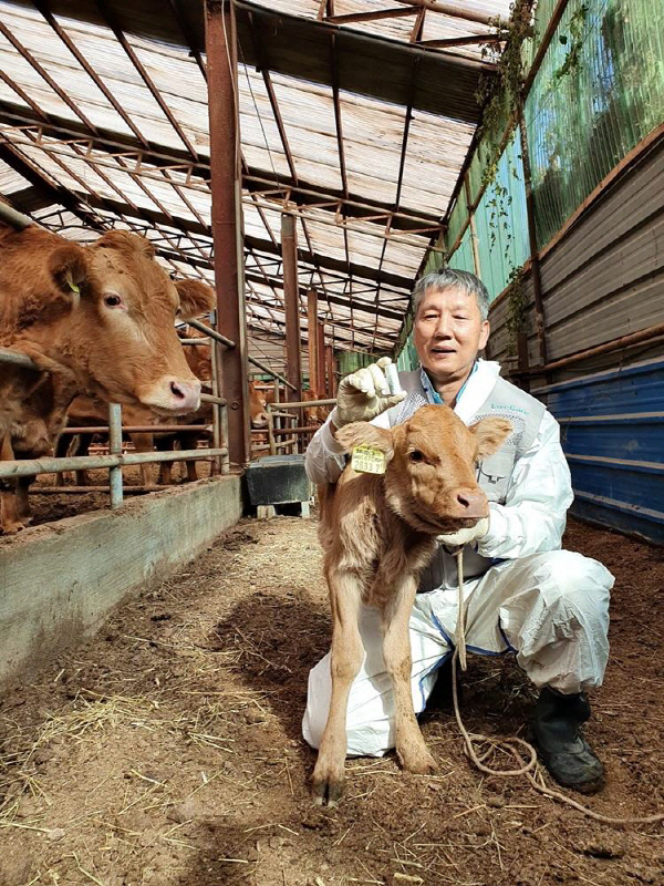 유라이크 이미지