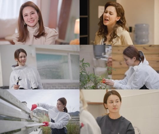 아이비랩 이미지