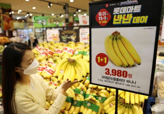 빅할인마트 이미지