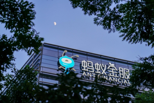 앤트기업 이미지