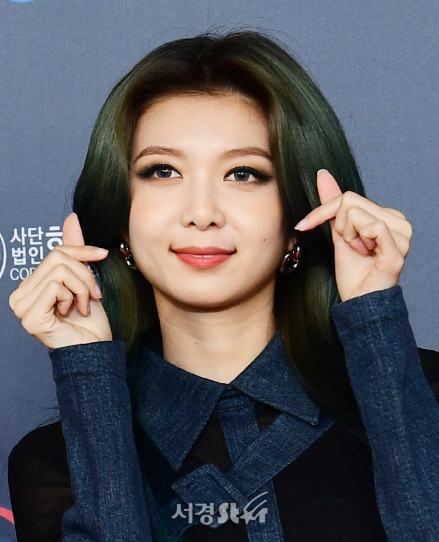 다미 이미지