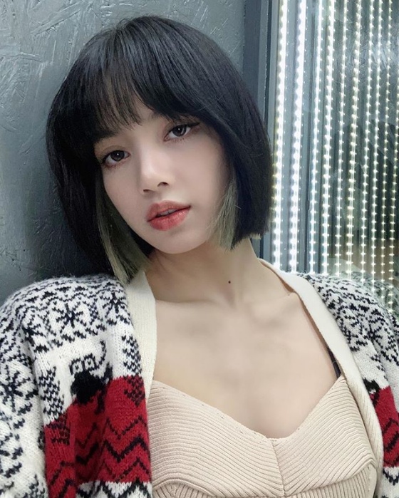칼리사 이미지