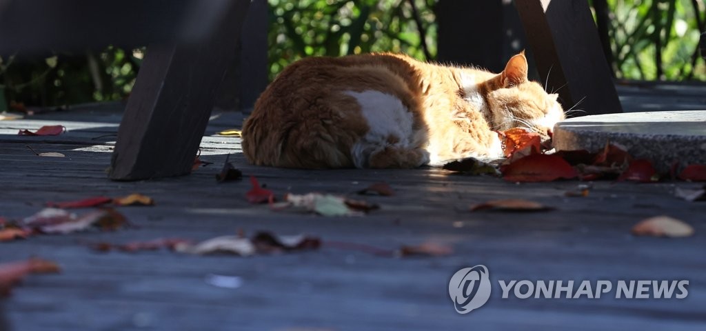 머물래 이미지