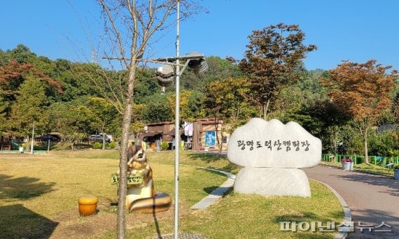 광명 도덕산 캠핑장 이미지