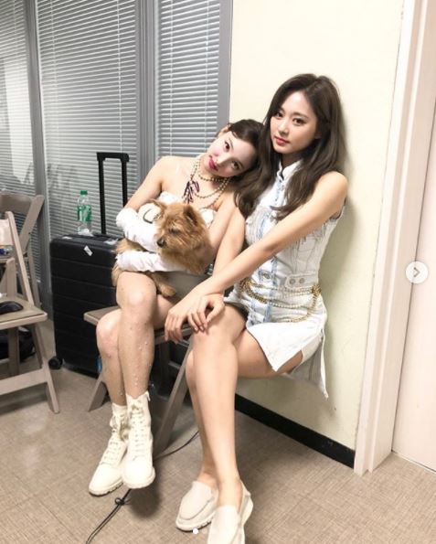 TWICE Nayeon and TZUYU have unveiled their appearances at the Waiting Room.Nayeon and TZUYU posted several photos on the official Instagram of TWICE on the 6th, along with the article This transparent chair is really comfortable and good.In the open photo, Nayeon sits on a chair with a puppy on his lap, but TZUYU is sitting in the air without a chair and making a natural look.Especially, TZUYUs natural expression is attracting attention.On the other hand, TWICE, which includes Nayeon and TZUYU, released its regular album Eyes wide open on the 26th of last month and is working as the title I CANT STOP ME.Photo: TWICE Official Instagram