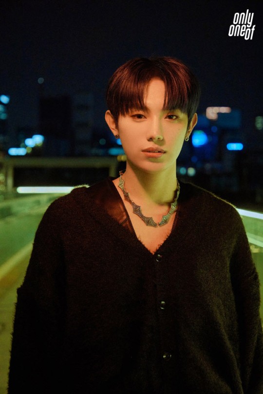 원오브 이미지