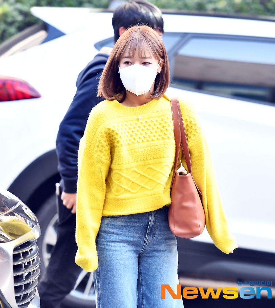노랑병아리 이미지