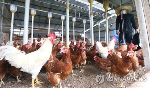 제천양돈한우 이미지
