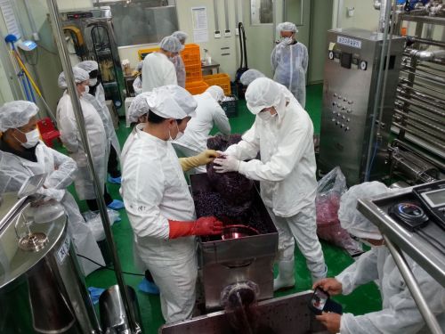 임실군농산물가공센터 이미지