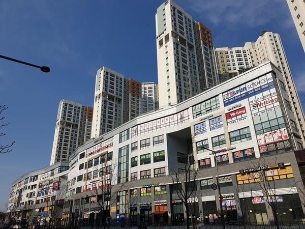 세종 이미지