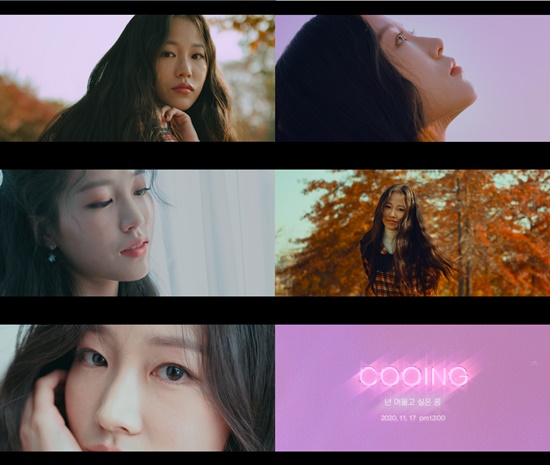 Cooing 쿠잉 이미지