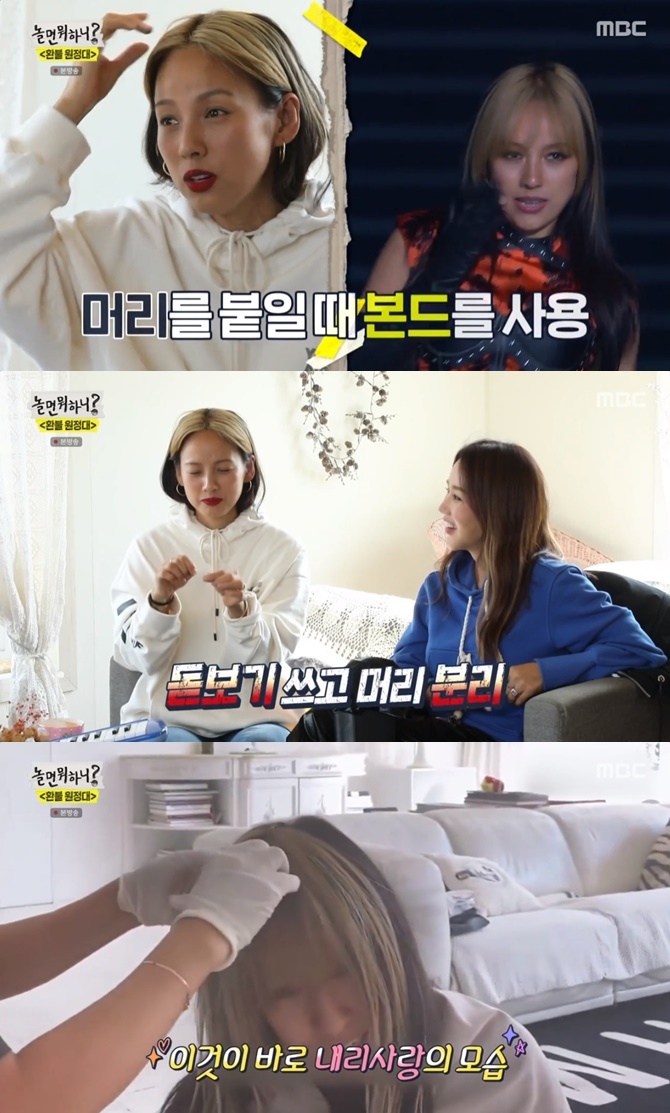 사자머리 이미지