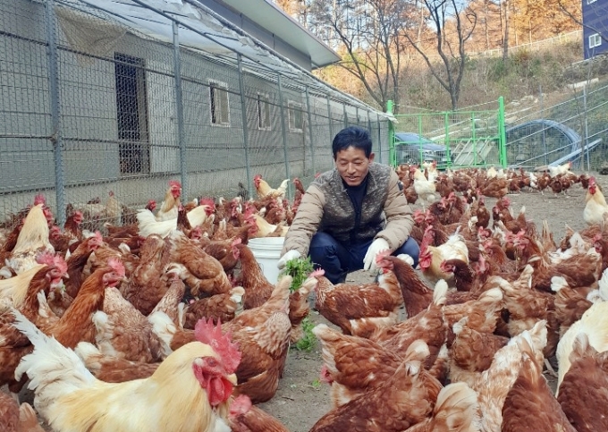 지리산오리유통 이미지