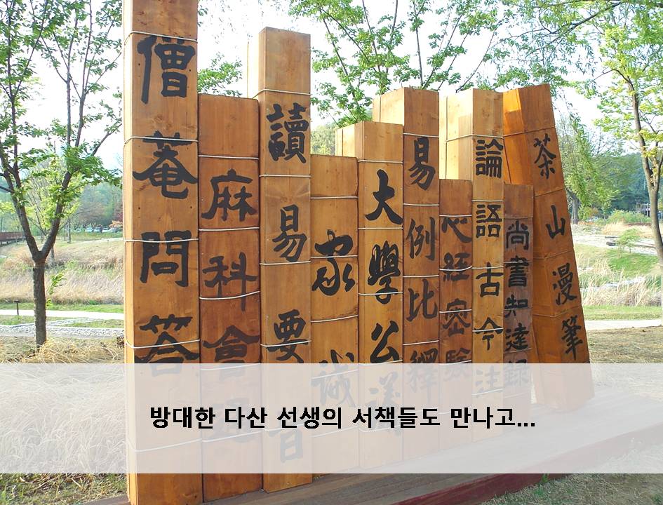 탐진어가 이미지