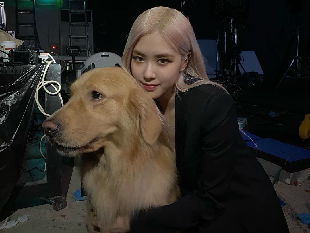 BLACKPINK Rosé has reported on the latest.On the 17th, Rosé posted two photos on his Instagram with an article entitled Manjuya long time Yaa Aang.In the photo, Rosé is seen holding a puppy Manju tightly and being happy; the puppy is also smiling with his tongue out.Rosé left a nice manju and two shots with a sideline, with a light pink hairstyle that drew a mysterious charm.Fans were pleased with the long-time Rosé appearance with comments such as I love you, I want to see and I am pretty.Meanwhile, Rosés group BLACKPINK released THE ALBUM unboxing video on the official Twitter channel.