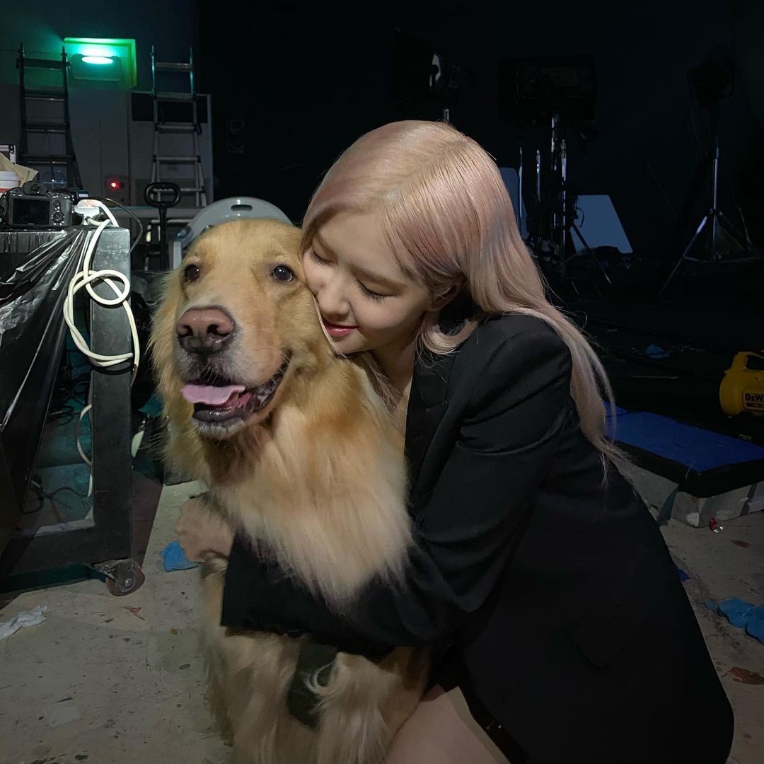 BLACKPINK Rosé has reported on the latest.On the 17th, Rosé posted two photos on his Instagram with an article entitled Manjuya long time Yaa Aang.In the photo, Rosé is seen holding a puppy Manju tightly and being happy; the puppy is also smiling with his tongue out.Rosé left a nice manju and two shots with a sideline, with a light pink hairstyle that drew a mysterious charm.Fans were pleased with the long-time Rosé appearance with comments such as I love you, I want to see and I am pretty.Meanwhile, Rosés group BLACKPINK released THE ALBUM unboxing video on the official Twitter channel.