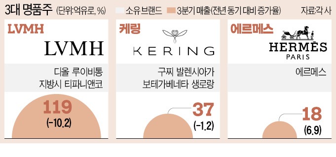 명품날개 이미지