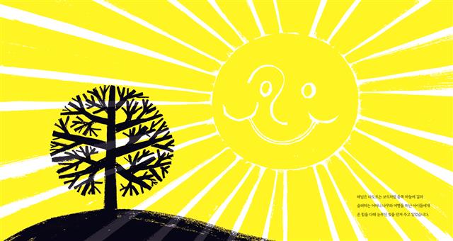 천과나무 이미지