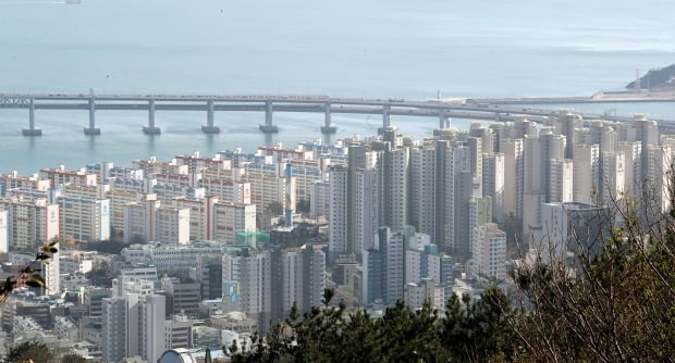 ´öÀº »ïÁ¤±×¸°ÄÚ¾Æ http://inhousing.i-web.kr