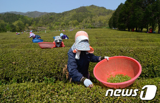 다원축산기업 이미지