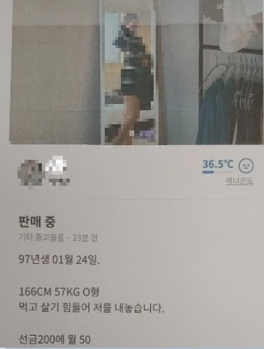 호텔당근 이미지