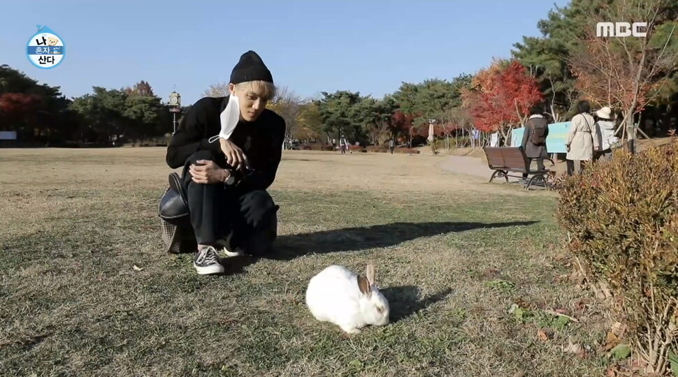 Last weekend, Rabbit of a park in Seoul City appeared on the air and attracted attention.This is because the scene where singer Kai, who appeared in the cultural broadcasting entertainment I Live Alone on the 20th, went out for a walk at Montmartre Park in Seocho-dong, Seoul, met Rabbit and took a certification shot was broadcast.As several Rabbits did not avoid people and walked freely, Montmart Park Rabbit appeared in real-time search terms.How on earth did Rabbits live in this park? It is estimated that about 2011 Rabbits began to catch up with Montmartre Park.After someone dumped a pair of Rabbits, the breeding repeated and increased to about 10.Rabbit-loving citizens controlled the population by performing neutering surgery on their own, but the cubs continued to be born.There are also people who deliberately organise Rabbit on rumors that Rabbit is a lot.As Rabbits increased to more than 90 in the park in 2018, animal groups carried out Rabbit neutralization and protection campaigns.The animal rights group Hi, the Animal Freedom Solidarity, and the Free Rabbit World (now the Rabbit Protection Solidarity) captured more than 100 Rabbits at the time, neutralizing the embankments, and the Rabbits conducted home adoption.Those who have set up foodservice stations for continuous management and protection are planning volunteer schedules through Naver Cafes Grass Rabbit Garden to take care of Rabbits.There are about 15 Rabbits currently living in the park, and newly abandoned Rabbits are being temporarily protected by volunteers or looking for adoptees.When Montmartre Park Rabbit appeared on the air, those who knew the Rabbits story expressed concern.Cho Young-soo, CEO of Hi, said, I am worried that the wrong message will be delivered to viewers only by the cute Rabbit reflected on the broadcast.He stressed that Rabbits were not animals that originally lived in the wild; the embankments that neutralized in 2018 are cut one side of the ear like a road cat.The Rabbits in the park are individuals who were originally purchased at marts and pet shops and then abandoned.Rabbit is a highly competitive animal, and it is very aggressive when new individuals enter its territory. Currently, people are being cared for and protected by their own people. He introduced a case in which a citizen in the past did not realize the seriousness of Rabbit Organic in the park.He explained that Rabbit, who was raised, was organic in the park with his children and was radiating in a free place.We believe that abandoned animals like dogs and cats are criminals, but Rabbit is still not interested, Cho said.The netizens who watched the broadcast also said, I am worried that Rabbit will be abandoned again. I would like to discuss why Rabbit has increased here in the next broadcast.On the other hand, the animal rights group Hi is conducting a survey on the actual condition of organic earthenware in the downtown park of Seoul city from 17th.Hi is receiving citizen tips for the status and population survey of Rabbits, which already live in the park.Hi also led to the closure of the Rabbit nursery by informing the issue of Baebongsan Rabbit nursery in Seoul Dongdaemun-gu in June.Park Rabbit broadcast on I live alone and interest is growing. Rabbit, which was abandoned in 2011,