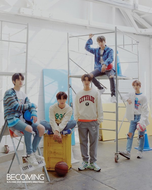 엔12 이미지