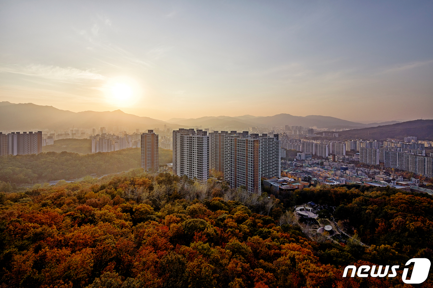 포레스타 이미지