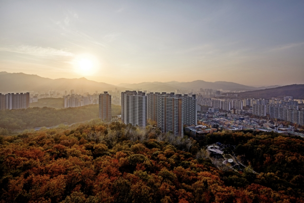 포레스타 이미지