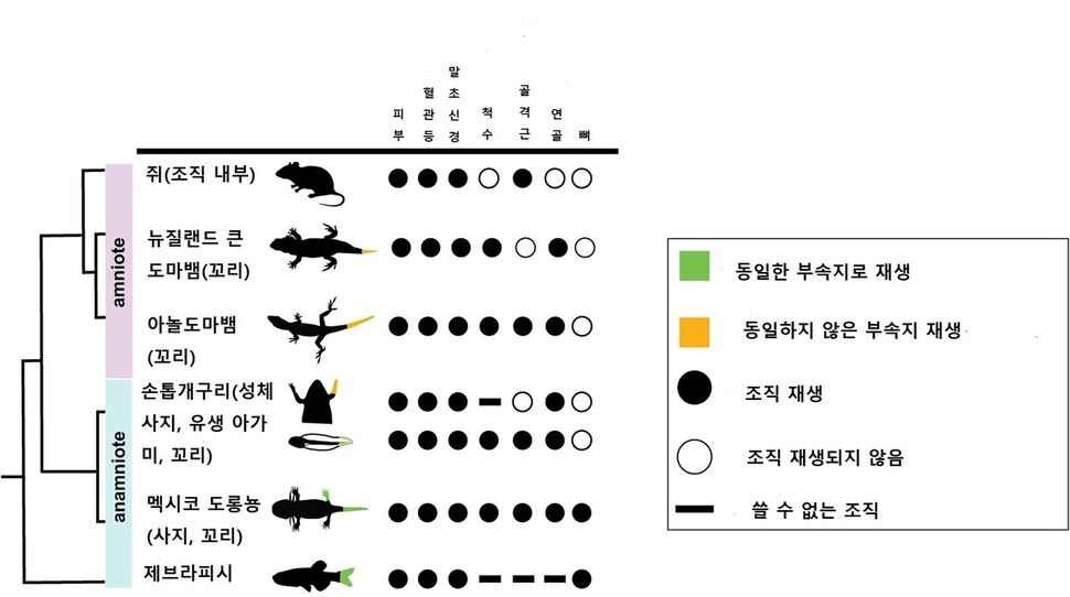 피시포유 이미지