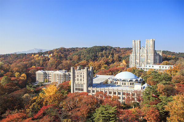 경희 이미지