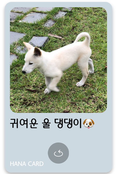 디자인달과별 이미지