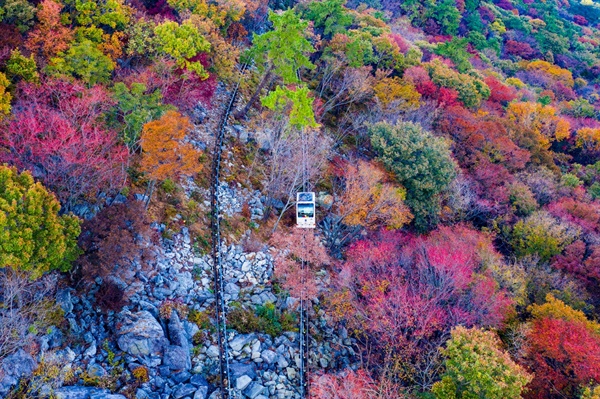 거제관광모노레일 이미지