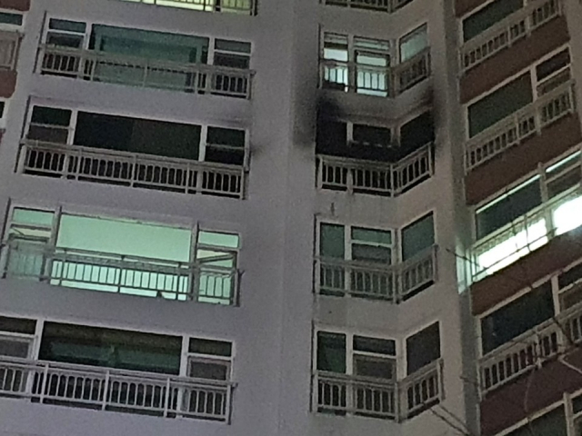 밤중에 사진 8