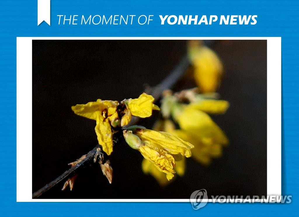 모멘트 이미지