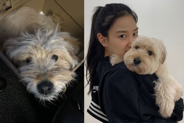 순이 이미지
