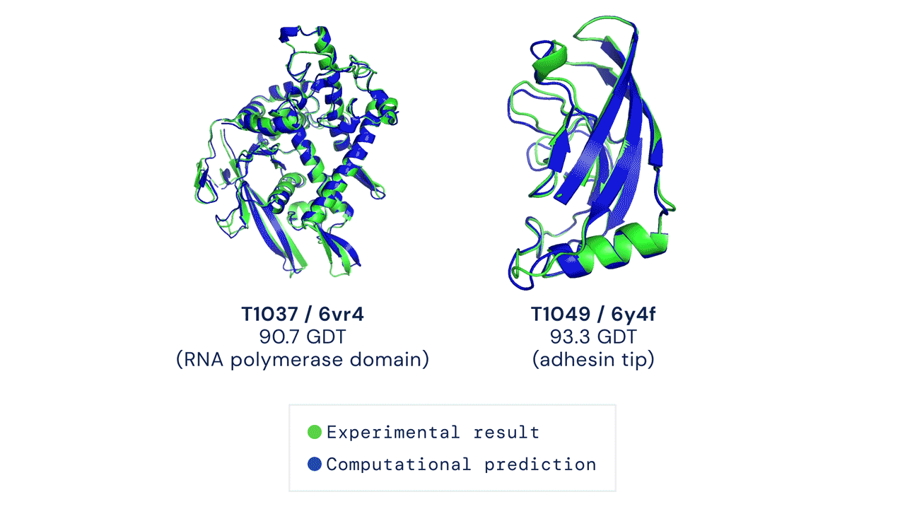 딥마인드의 인공지능이 예측한 단백질 입체 구조(파란색)과 과학자들이 사전에 실험으로 확인한 구조(녹색). 거의 일치하는 것을 알 수 있다./딥마인드
