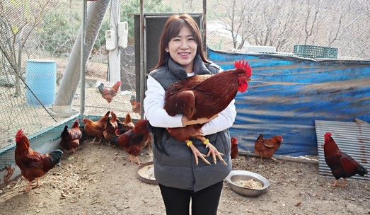 유라이크 이미지