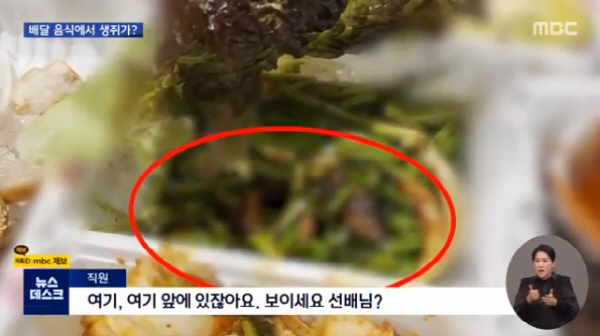 족발속으로 이미지