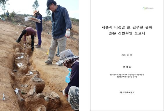 디엔에이씨 이미지