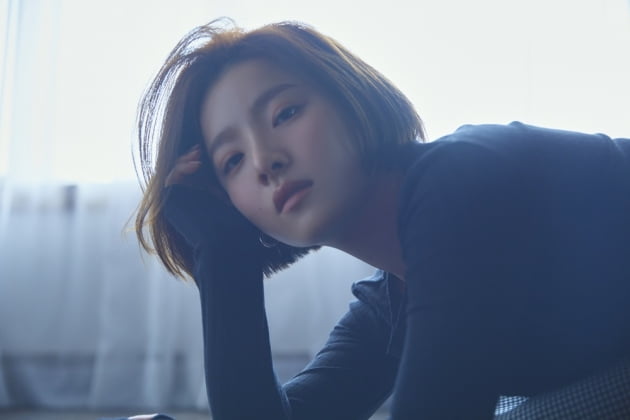 벤 이미지