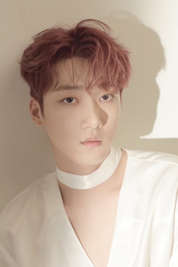 마이스트 이미지