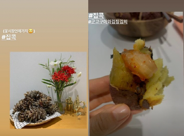 서준생활건강 이미지