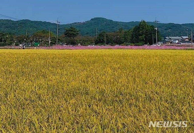 모잔들영농조합법인 이미지