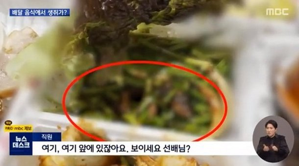 족발속으로 이미지