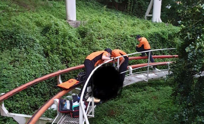 이월드 이미지