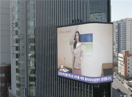 월드세정 이미지